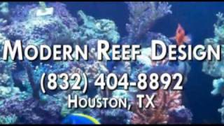 Tropical Fish Store, Aquarium Installation in Houston TX 77083