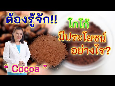 ต้องรู้จัก !! โกโก้มีประโยชน์ต่อสุขภาพอย่างไร ? | Cocoa | พี่ปลา Healthy Fish