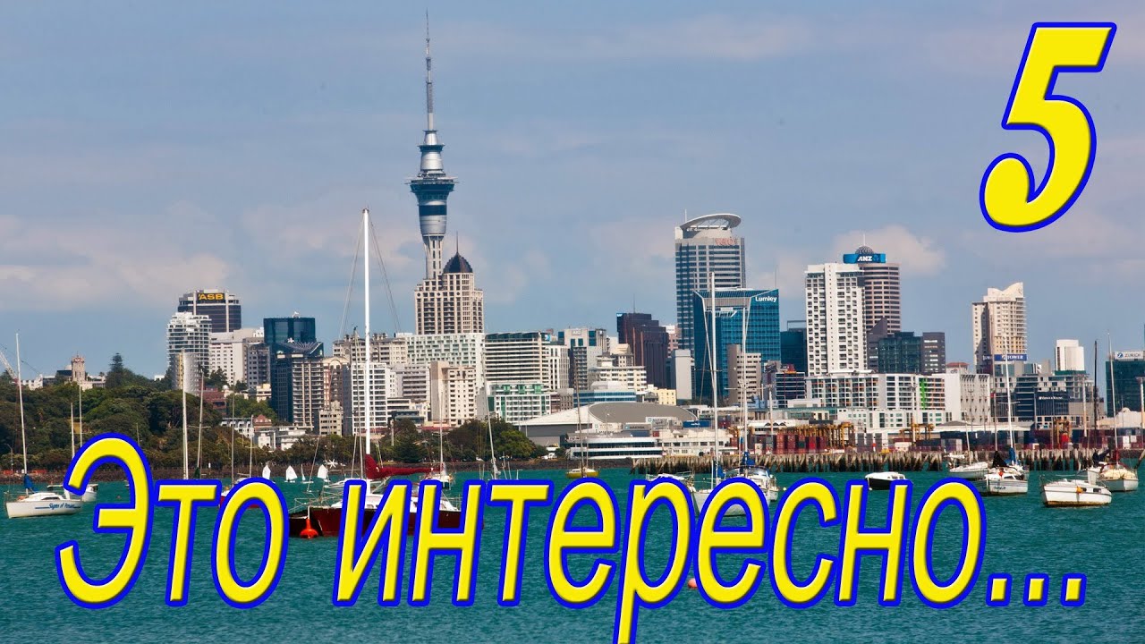 Порно учит парня трахаться - Онлайн ХХХ видео для самых лучших эстетов секса