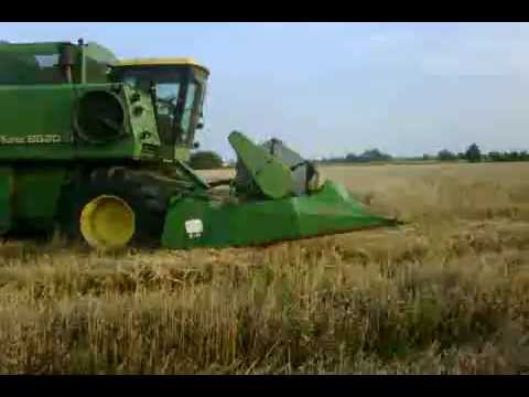 DiMeo Farms Organic Rye Harvest in Hammonton, New Jersey DiMeo Farms Organic Rye Harvest in Hammonton, New Jersey