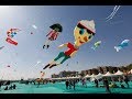 International Kite festival 2019 | Ahmedabad