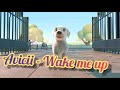 Avicii - Wake me up (MUSIC VIDEO)