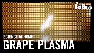 The Sci Guys: Science at Home - SE1 - EP11: Grape Plasma - Making Plasma in a Mi
