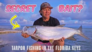 Secret Bait? Tarpon Fishing In Florida Keys