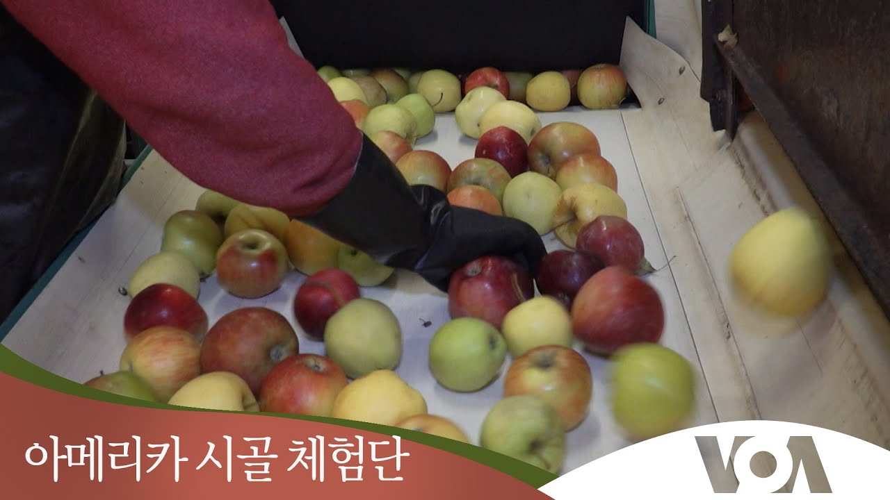 제작 영상들