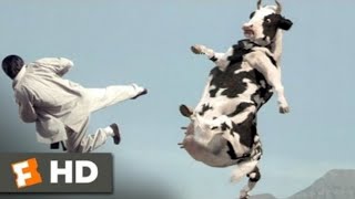 Cow Vs Man Fight Very Funny Vedio