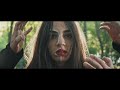 Green Twilight Video preview