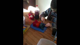 Jumbo Gummy Bear