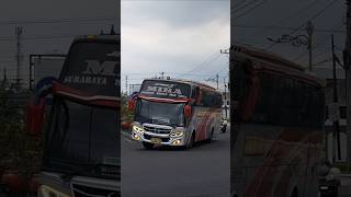Bus Mira Masuk Terminal Klaten