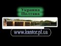 о породе немецкой овчарки, советы 