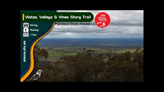Vistas Valleys Vines