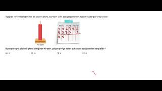 Newton Yayınları 6.Sınıf Deneme 5 Soru 14