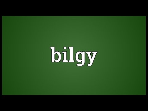 Header of bilgy