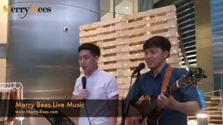 Merry Bees Live Music - The Unemployed Highlights