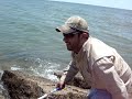 Trout fishing Galveston, TX