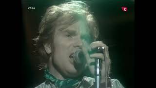 Watch Van Morrison I Just Wanna Make Love To You video
