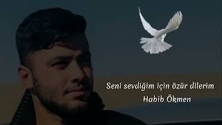 Habib Ökmen - Seni Sevdiğim Için Özür Dilerim. Şiir