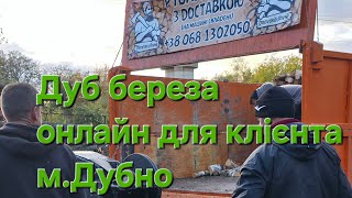 Дуб І Береза Рубаємо Онлайн Для Клієнтів М.дубно