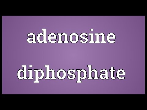 Header of adenosine diphosphate