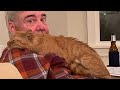 When animals showing their love to humans, so cute -  Cutest animal videos