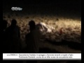 CN24 | Quarantenne freddato in spiaggia a Soverato davanti a moglie e figlio