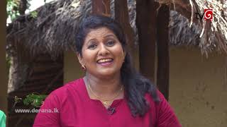 Ape Heda | 15th May 2019