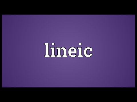 Header of Lineic