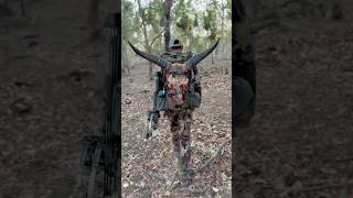 Successful Banteng Bull Bowhunt