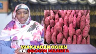 Bataati Macaanka Maxaad Ka Aamin-San Tahay? Faaido Badan Ayaa Kabuuxda, Waa Dawo Aan La Ogeen Daawo