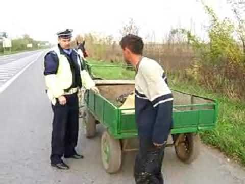 Konj u ulozi autopilota - Vredi pogledati!