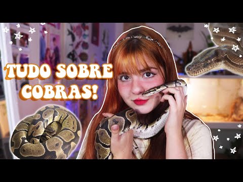 O QUE VOCÊ PRECISA SABER ANTES DE TER UMA COBRA PET!