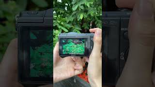 Sony A5100
