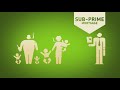The Crisis of Credit Visualized - Part 2