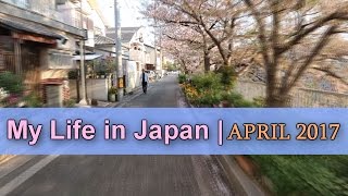 My Life in Japan | April 2017