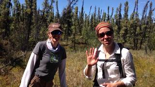 Merritt and her colleague Jennifer Baltzer talk about the impacts of permafrost thaw in northern wetlands. Boots to the (soggy) ground science!