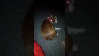 Nighttime Nina.