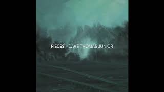 Watch Dave Thomas Junior Those Days video
