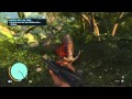 Rare Animals Location Guide Video