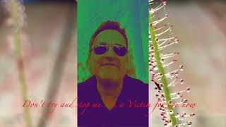 Tree Lined Streets - Victim for you