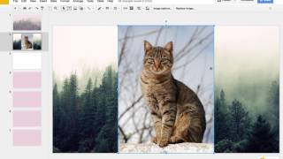 MAKE PROFESSIONAL PRESENTATIONS WITH GOOGLE SLIDES