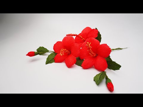 Cách Làm Hoa Dâm Bụt Từ Giấy Nhún Cực Dễ - ColorHand DiY