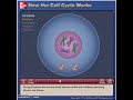 McG-H - How the Cell Cycle Works