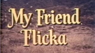 My Friend Flicka 12 of 39 - Silver Saddle