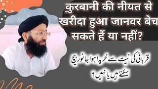 Qurbani Ki Niyyat Se Kharida Huwa Janwar Bech Sakte Hen Ya Nahen? Qurbani Ke Masail