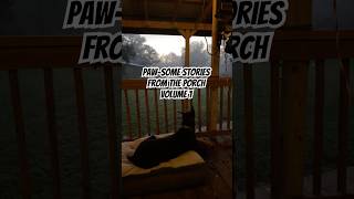 Doberman Inspirational Spotlight Sir Darius Browns Paw-Some Mission