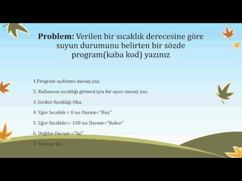 Algoritma Ders 2 - Algoritma İfade Şekilleri