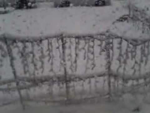 Chicago Blizzard Chicago Blizzard