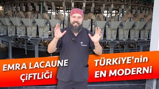 İNANILMAZ SÜT VERİMİ | EMRA LACAUNE ÇİFTLİĞİ