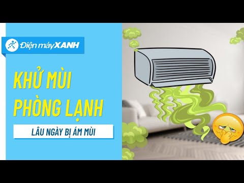 Cách khử mùi hôi trong phòng máy lạnh • Điện máy XANH