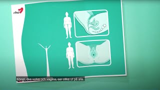 Żeńskie narządy płciowe | RFSU informerar om vulva vagina / kvinnans kön på pols